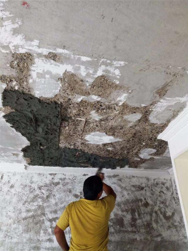 1635564490191296.jpg